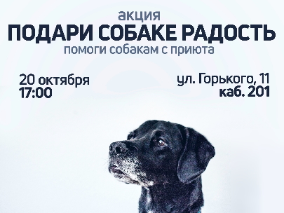 Собаки нуждаются в помощи