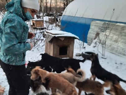 Огонёк добра
