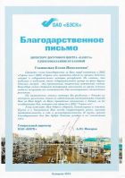 Диплом.09
